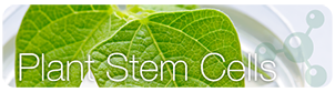 PLANT_stem_Cells