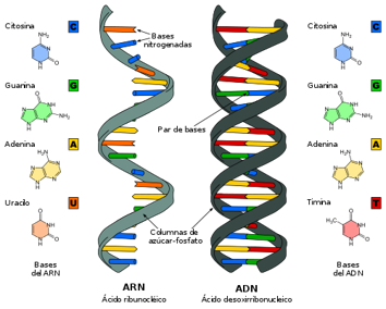 SSCT_STEM_CELL_THERAPY_